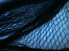 Fruit Tree Netting (4m wide, per metre length) photograph